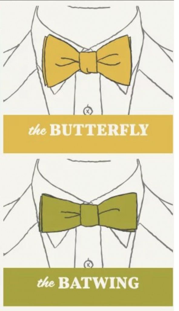 Виды и форматы галстуков бабочек